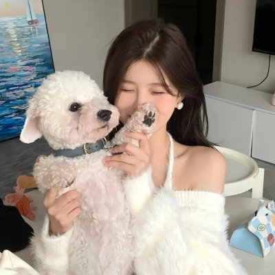 猫咪马汀封面