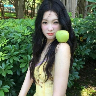 哈兰·科本的庇护所封面